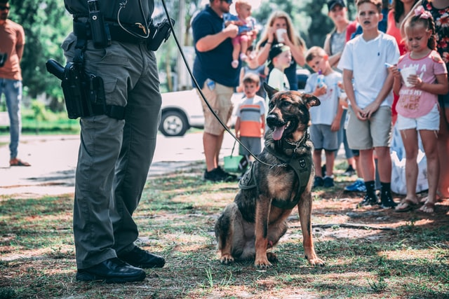 A security guard with a K9 police dog