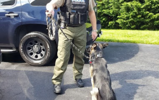 A security guard with a K9