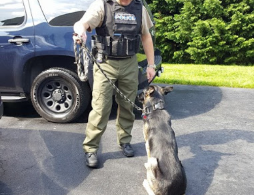 Debunking 4 Myths About Security Officers