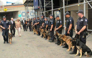 Armed security in Virginia