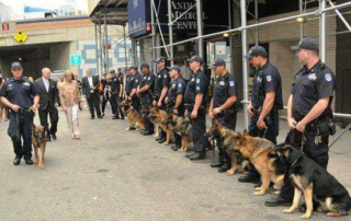 Police Officers