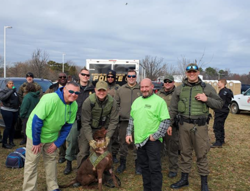 From Entry to Exit: The Comprehensive Role of Armed Security at Sports Arenas