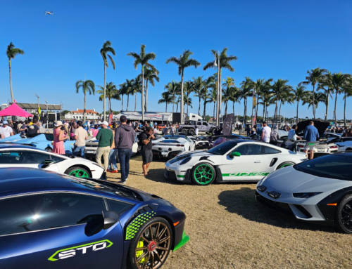 Beyond the Badge: The Unseen Role of Covert Protection Specialists